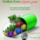 دومین جشنواره «Fintech Farm»
