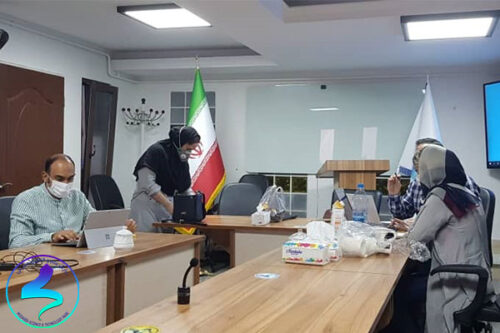 برگزاری کارگاه مجازی مقالهنویسی توسط شرکت آوینا