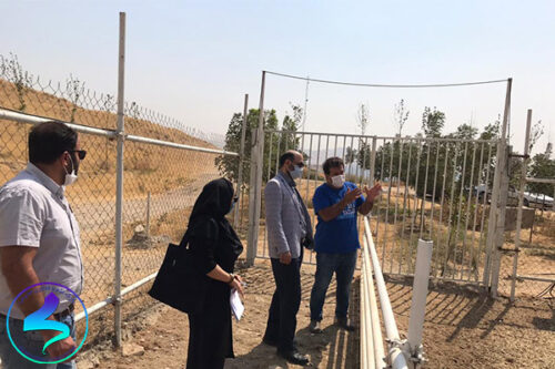 بازدید معاون فناوری پارک از واحدهای پردیس بابایی