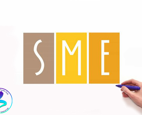 Small and medium-sized enterprises (SME s)