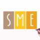 Small and medium-sized enterprises (SME s)