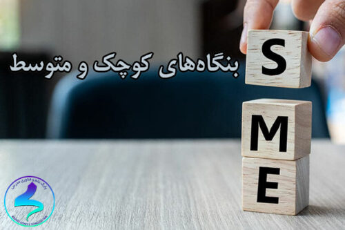 بنگاه‌های کوچک و متوسط (SMES)