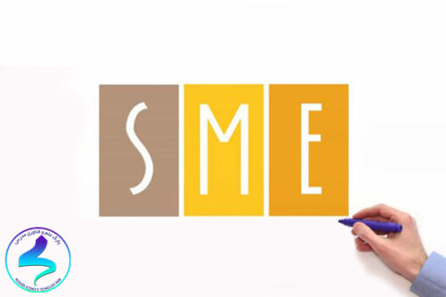 SMALL AND MEDIUM-SIZED ENTERPRISES (SME S)