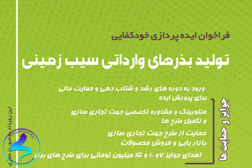 فراخوان ایده‌پردازی خودکفایی تولید بذرهای وارداتی سیب‌زمینی